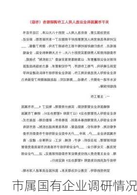市属国有企业调研情况