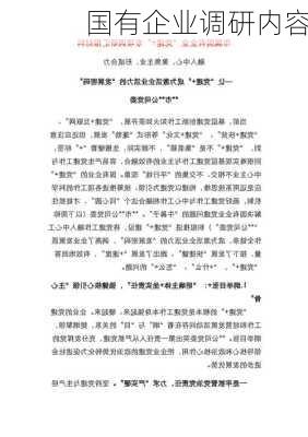 国有企业调研内容