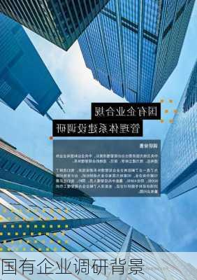 国有企业调研背景