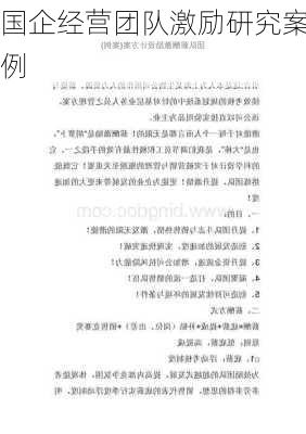 国企经营团队激励研究案例