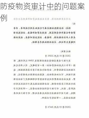 防疫物资审计中的问题案例