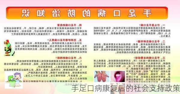 手足口病康复后的社会支持政策