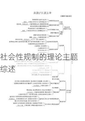 社会性规制的理论主题综述
