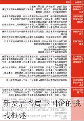 新发展格局下国企的挑战概述
