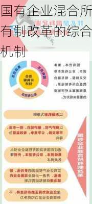国有企业混合所有制改革的综合机制