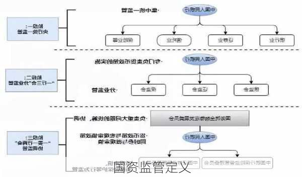 国资监管定义