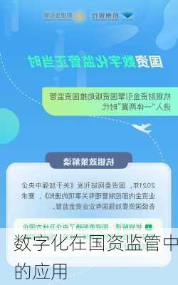 数字化在国资监管中的应用