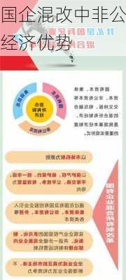 国企混改中非公经济优势