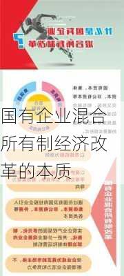 国有企业混合所有制经济改革的本质