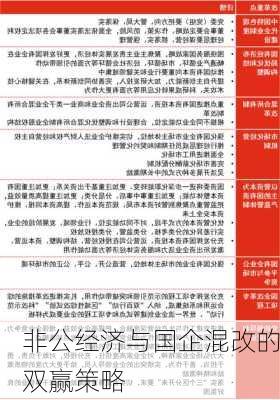 非公经济与国企混改的双赢策略
