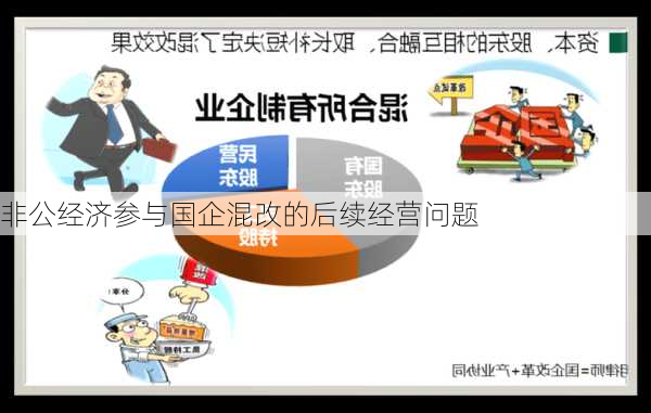 非公经济参与国企混改的后续经营问题