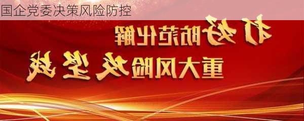 国企党委决策风险防控