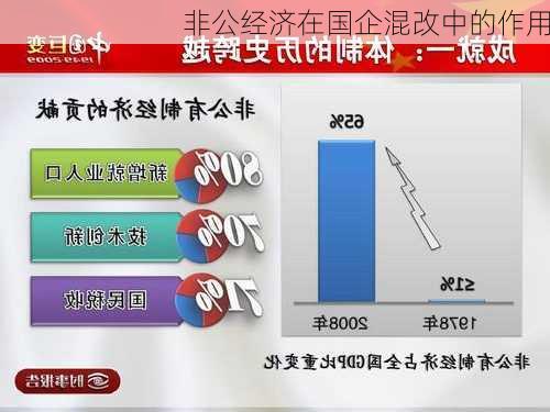 非公经济在国企混改中的作用
