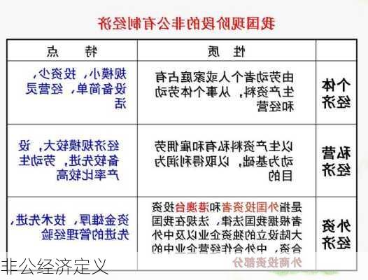 非公经济定义