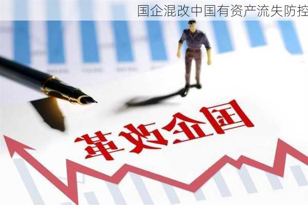 国企混改中国有资产流失防控