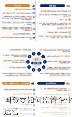 国资委如何监管企业运营