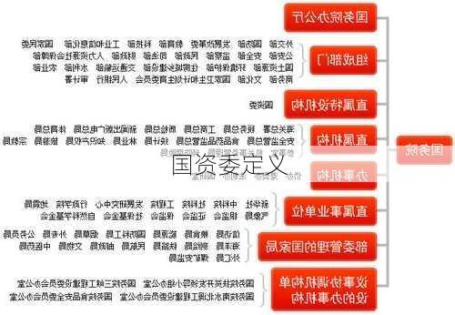 国资委定义