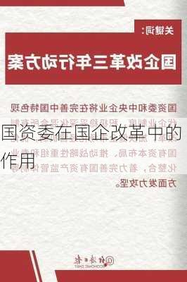 国资委在国企改革中的作用
