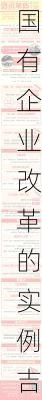 国有企业改革的实例吉林经验