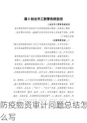 防疫物资审计问题总结怎么写
