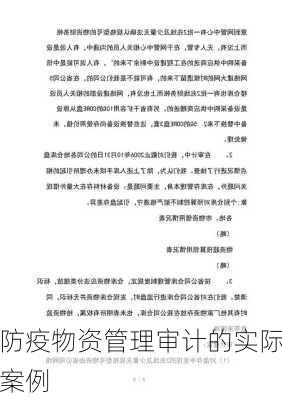 防疫物资管理审计的实际案例