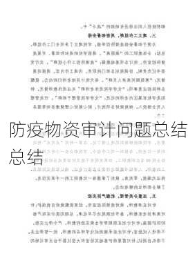防疫物资审计问题总结总结