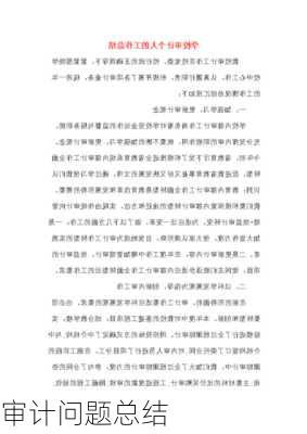 审计问题总结