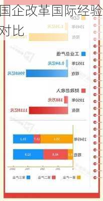 国企改革国际经验对比