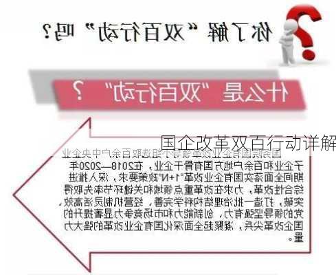 国企改革双百行动详解