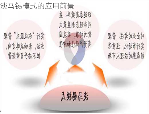 淡马锡模式的应用前景