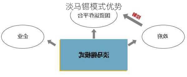 淡马锡模式优势