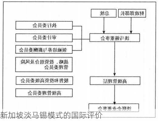 新加坡淡马锡模式的国际评价