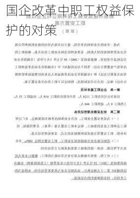 国企改革中职工权益保护的对策