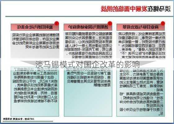 淡马锡模式对国企改革的影响