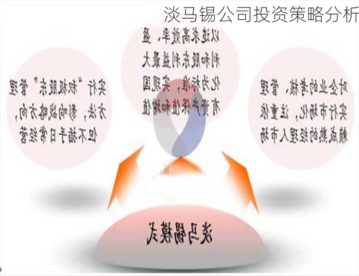 淡马锡公司投资策略分析