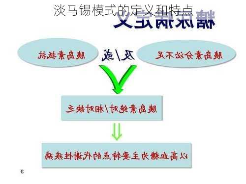 淡马锡模式的定义和特点