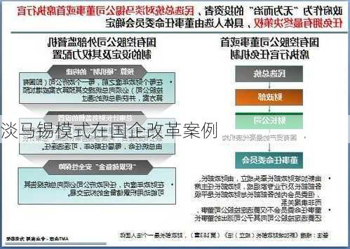 淡马锡模式在国企改革案例