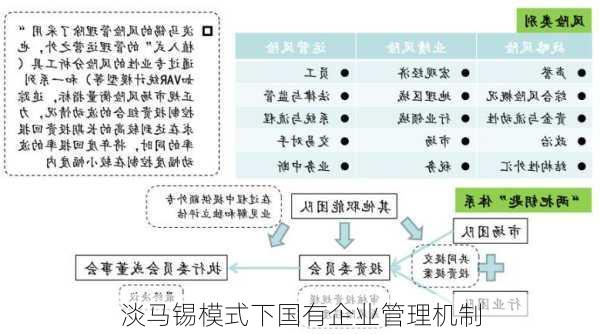 淡马锡模式下国有企业管理机制