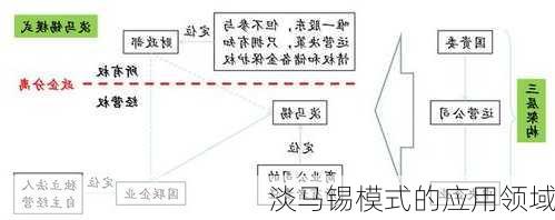 淡马锡模式的应用领域