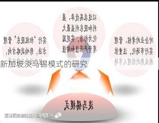 新加坡淡马锡模式的研究