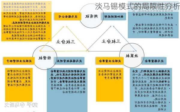 淡马锡模式的局限性分析