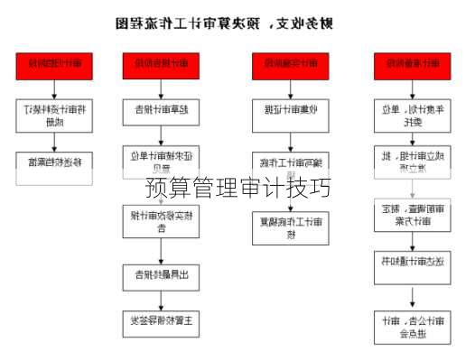 预算管理审计技巧