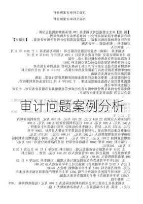 审计问题案例分析