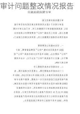 审计问题整改情况报告