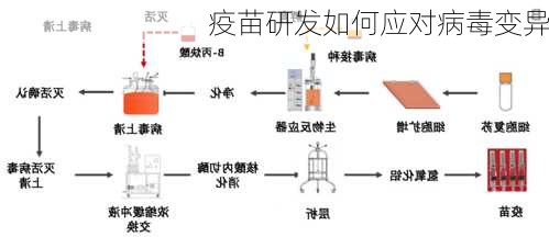 疫苗研发如何应对病毒变异