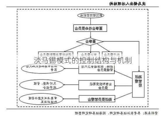 淡马锡模式的控制结构与机制