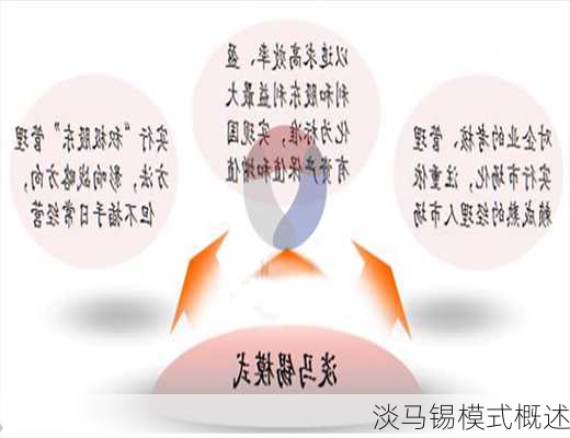 淡马锡模式概述