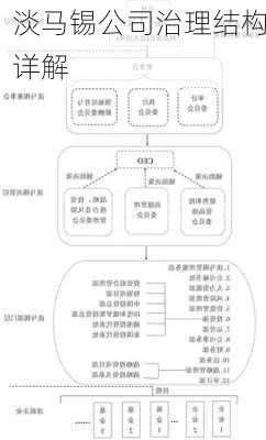 淡马锡公司治理结构详解