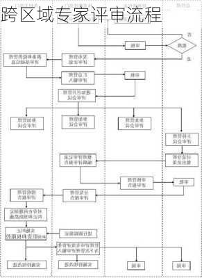 跨区域专家评审流程
