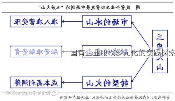 国有企业股权多元化的实践探索